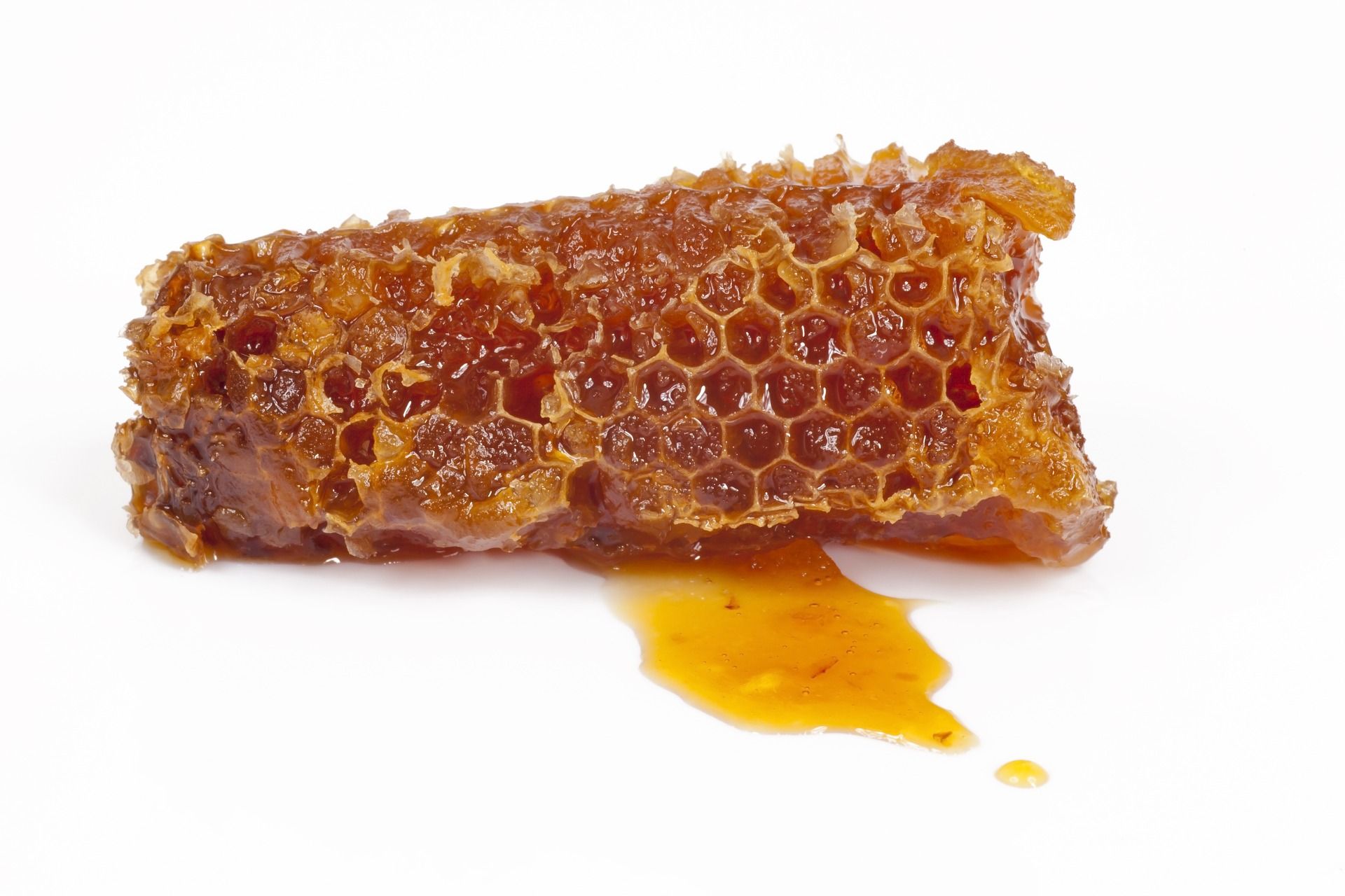 You are currently viewing 🐝🐝 La propolis🐝🐝 le produit de la ruche qui nous fait du bien !!!